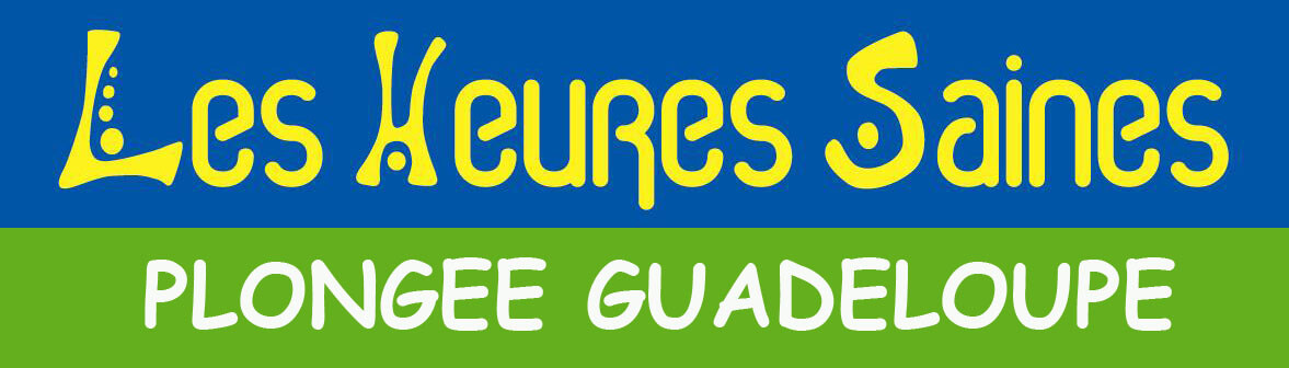 Logo - 3