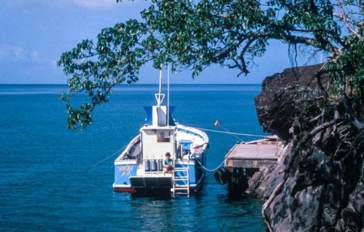 Yasai sur ponton