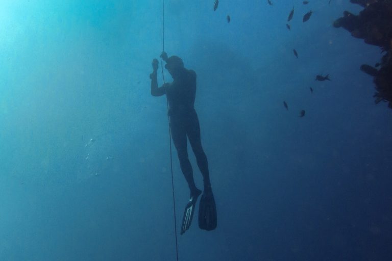 Initiation apnée - Reserve Cousteau, Guadeloupe
