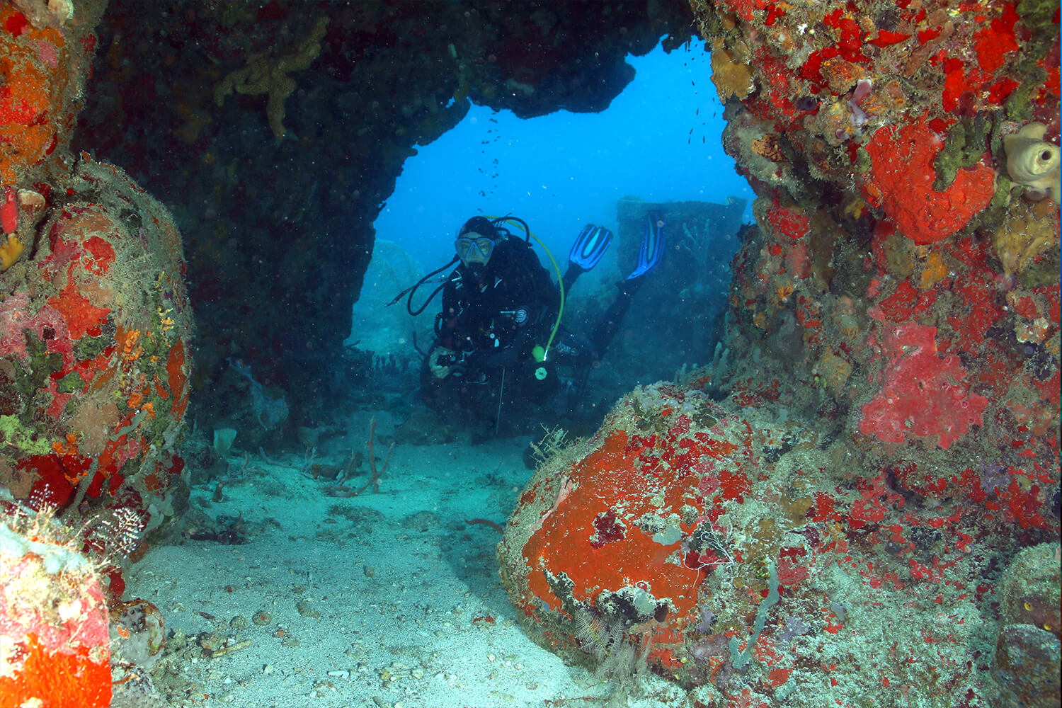 Réserve cousteau - Spot de plongée - Pointe Quecy