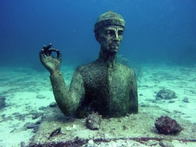 Plongée Réserve Cousteau Guadeloupe Jardin de Corail - Buste Cousteau