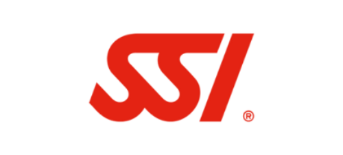 Logo SSI