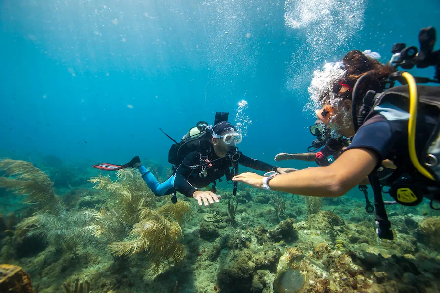 Baptême de plongée en Guadeloupe – Réserve Cousteau - Réserve Cousteau